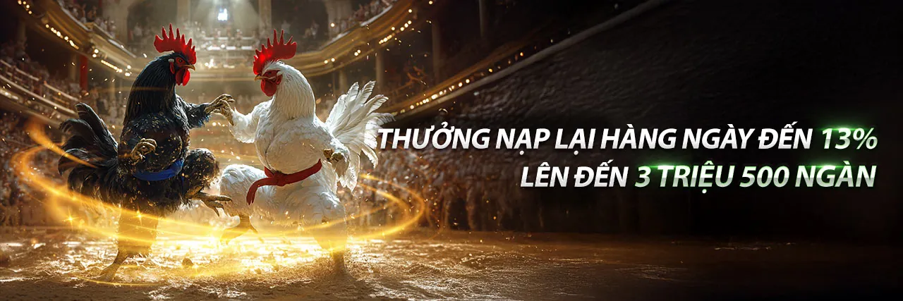 Đá Gà Đòn Quảng Ngãi
